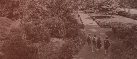 Students walking along a brick path