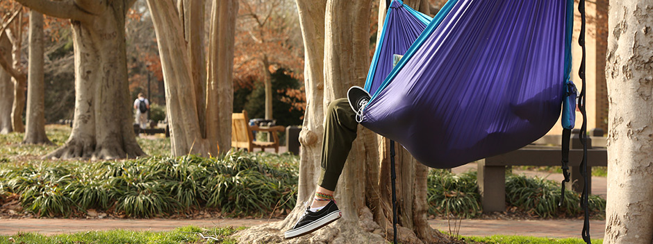 Late winter view of brick pathways and bushes with a person relaxing in a hammock