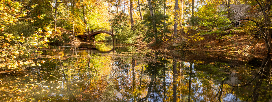 Brilliant fall foliage encompasses the Crim Dell bridge in the background
