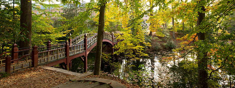 The wooden painted Crim Dell bridge crosses the water through the woods with golden foliage fallen on surfaces