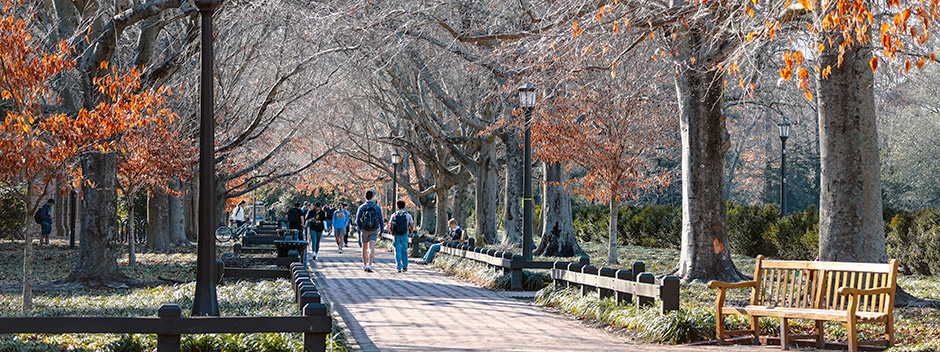 Students in warm-weather attire walk the wide brick pathway lined with large trees with no leaves